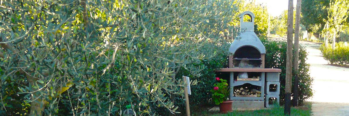 BARBEQUE PER GLI OSPITI DEL CAMPEGGIO